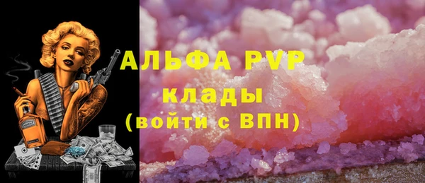 СК Инта