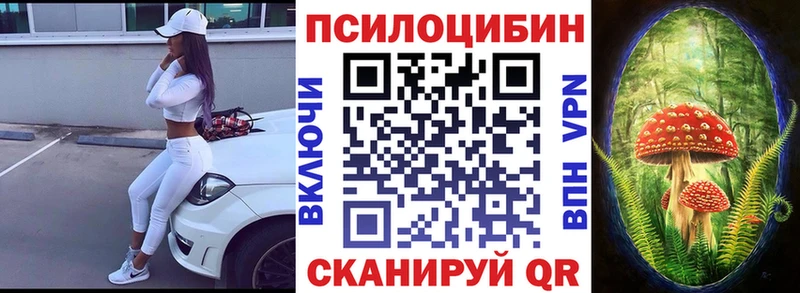 наркошоп  Малая Вишера  Псилоцибиновые грибы мицелий 